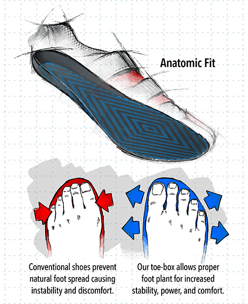 Anatomic Fit